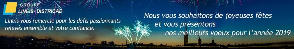 Bannière Lineis bonne année 2019